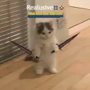 abusive0
