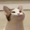 msgup