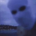 skorrii