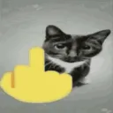 chicobruh