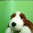 dymfluffy