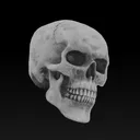 revenant0451