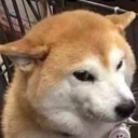 Discord Avatar