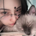 avatar Def Heaven ():