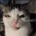 Pintita95's Avatar
