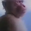 matarindo_