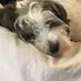jrmhwatkins