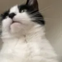br0nnn