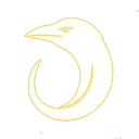 dbkgames