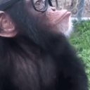 Techno1Monkey