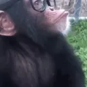 techno1monkey