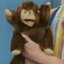 coolkoolbeans