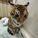 WackyToast's Avatar