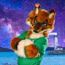 rokidumbyote