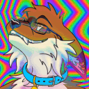rokidumbyote