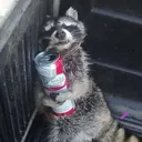 dattyless