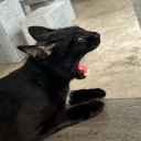 avatar †♪🖤фæĸ3Łįф3🖤♪†