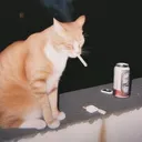 mati_