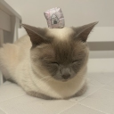 Discord Avatar