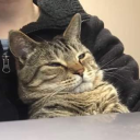 avatar BOWLING BALL!!