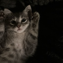 avatar 𝓛𝓮𝓻𝓲𝓪