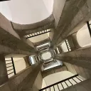 simoevolution avatar