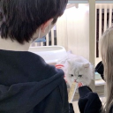 avatar Saiken(Angel’s Lover)