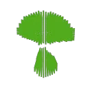 dxtu