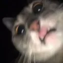 luis.v2718