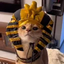 stinkyjarhead