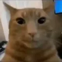 dd3xx