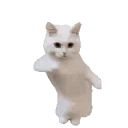 бубубу