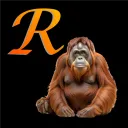 rynk3by