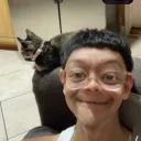 memestrada