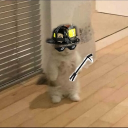 avatar 𝐄𝐢𝐧𝐟𝐚𝐜𝐡𝐋𝐢𝐬𝐬 🎗