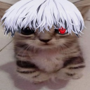 avatar FriesWasTaken.