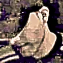 0shalashaska