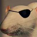 brightrat avatar