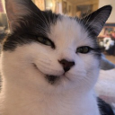 Discord Avatar