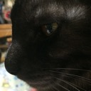 konpaku406121gww860's Avatar