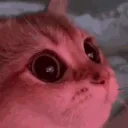 sumous.exe