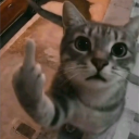 avatar Toby