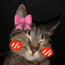 yknatte