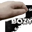 bozy__