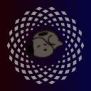 shiranko