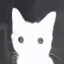 jinnooyah