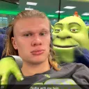 sattgast11