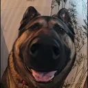 tompafv