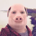 fongus172