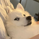 Jasonz